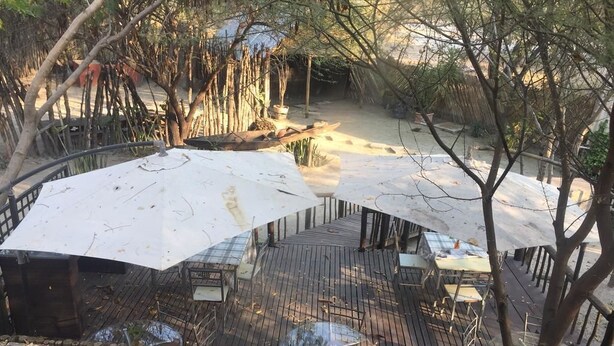 A covered outdoor area with tables and chairs, surrounded by trees and a wooden fence. - Mini Apartment at Peo (Maun)