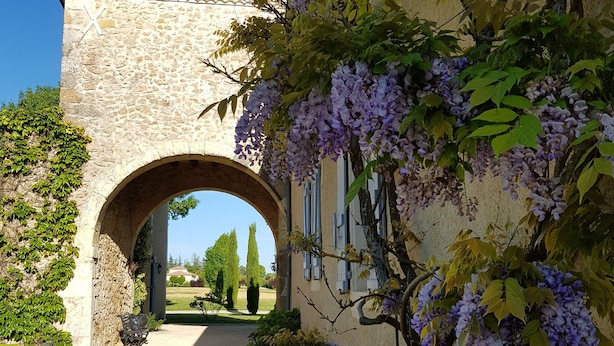 Property grounds - Propriété Le Monneton (Saint-Christie)