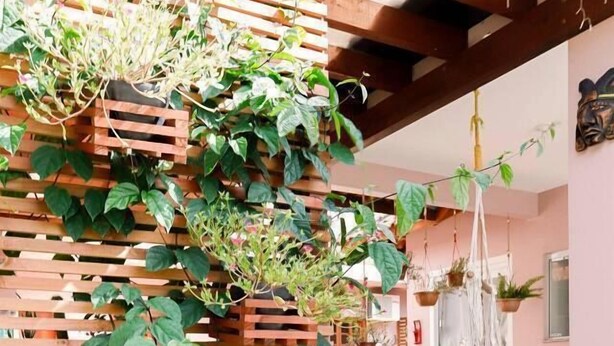 A wooden pergola with climbing plants, a hanging chair, and a dining area with a table and chairs. - Origin Casa -2 Bedroom Beach House for up to 7 (Palhoça)