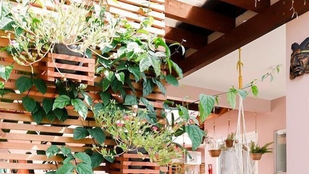 En pergola av trä med klätterväxter, en hängstol och en matplats med ett bord och stolar.