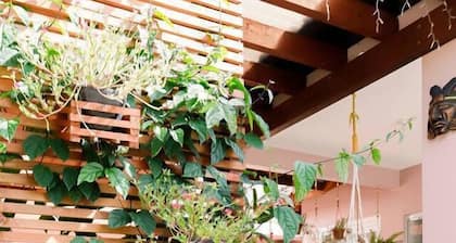 S4 Origin - Suite With Balcony and Amazing View