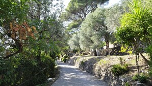Un chemin de gravier bordé d’arbres et de murs de pierre, qui traverse un jardin luxuriant.