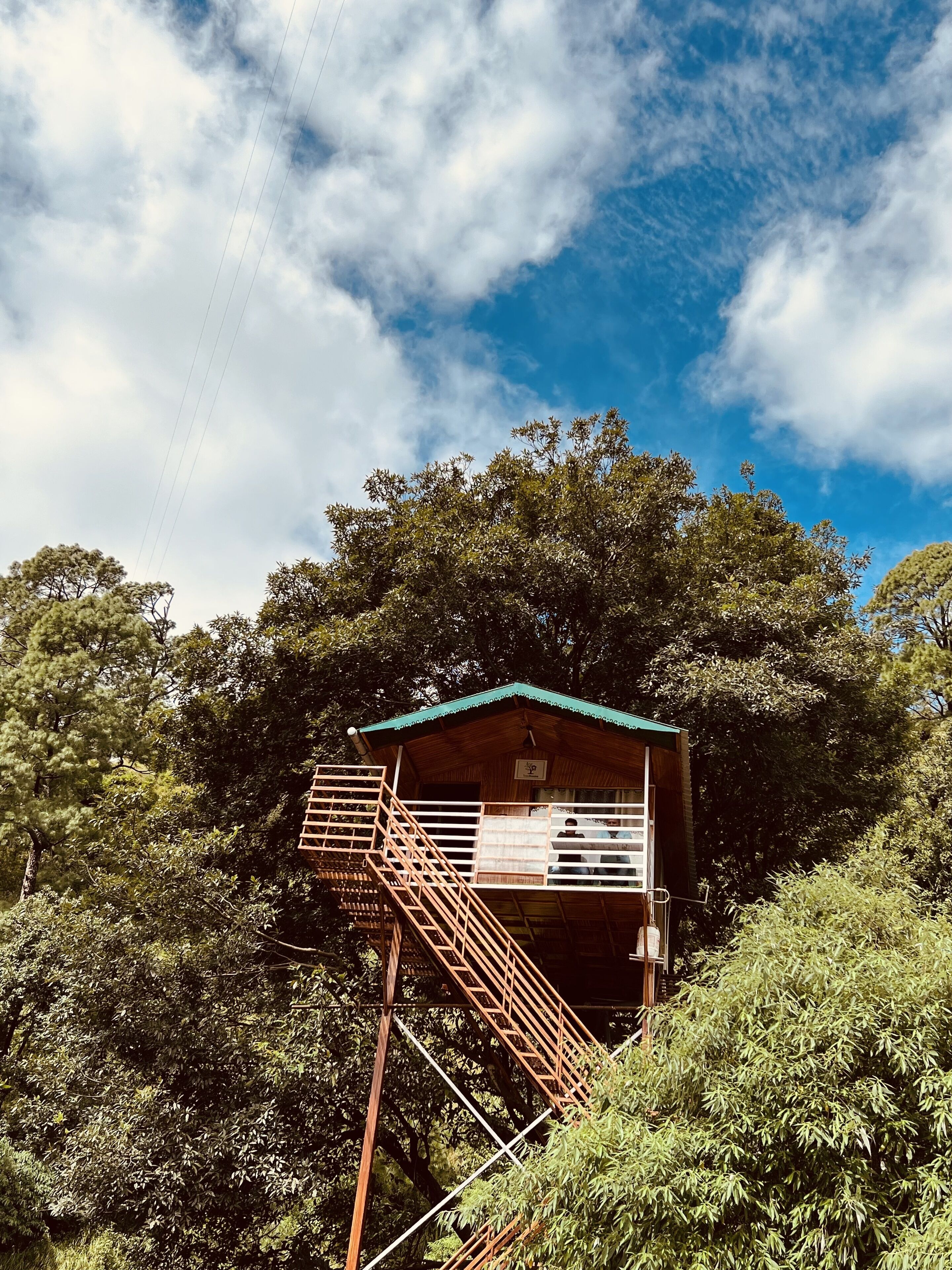 Una cabaña de madera con techo verde, rodeada de follaje denso, y una escalera que conduce a ella.