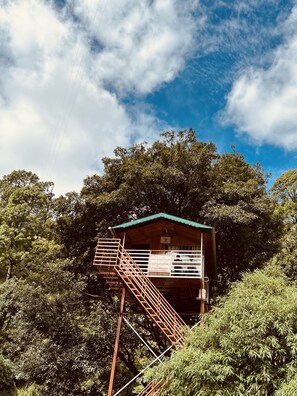 Tree House Exclusive | Façade de l’hébergement