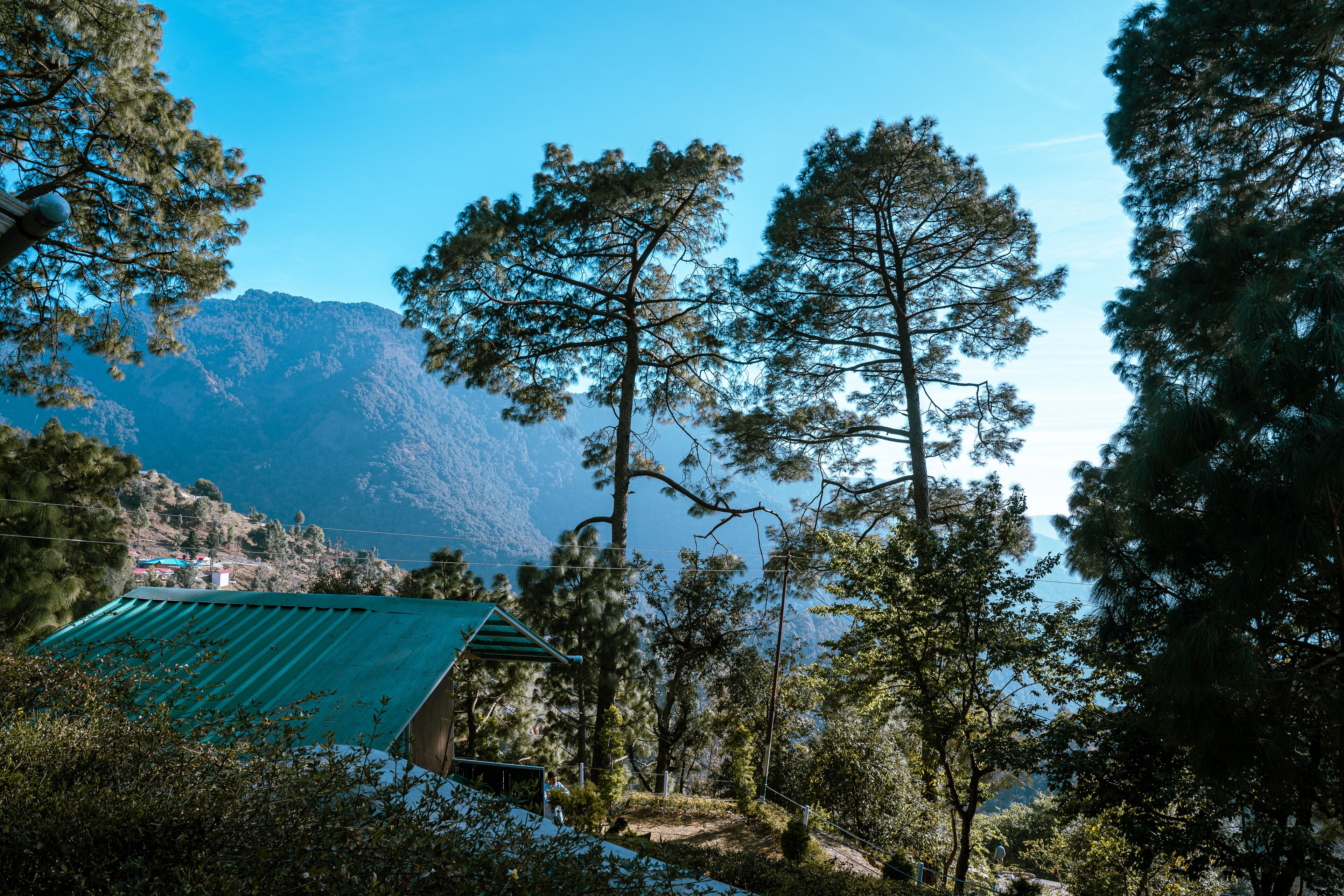 A cabin with a green roof surrounded by tall pine trees and a mountain in the background.