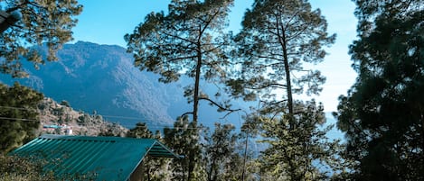 Una cabaña con techo verde rodeada de altos pinos y una montaña al fondo.