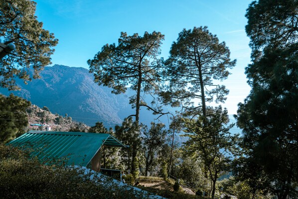 A cabin with a green roof surrounded by tall pine trees and a mountain in the background. - The Cocoon Camps & Nature Resorts (Nainital)