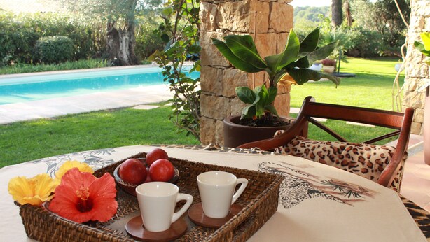 Une table avec un plateau de fruits, deux tasses blanches et une plante en pot.