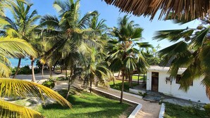 A tropical setting with palm trees, a white building with a small porch, and a clear blue sky. - MBV Hotel & Annex (Matemwe)