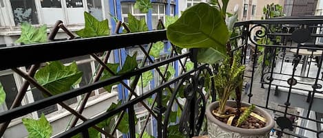 Hypo-allergenic bedding, free minibar items, in-room safe