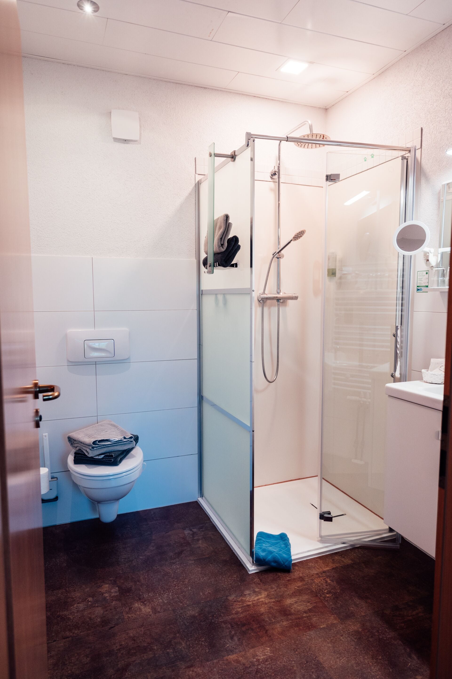 Ein modernes Badezimmer mit einer Duschkabine aus Glas, einer Toilette und einem Waschbecken.