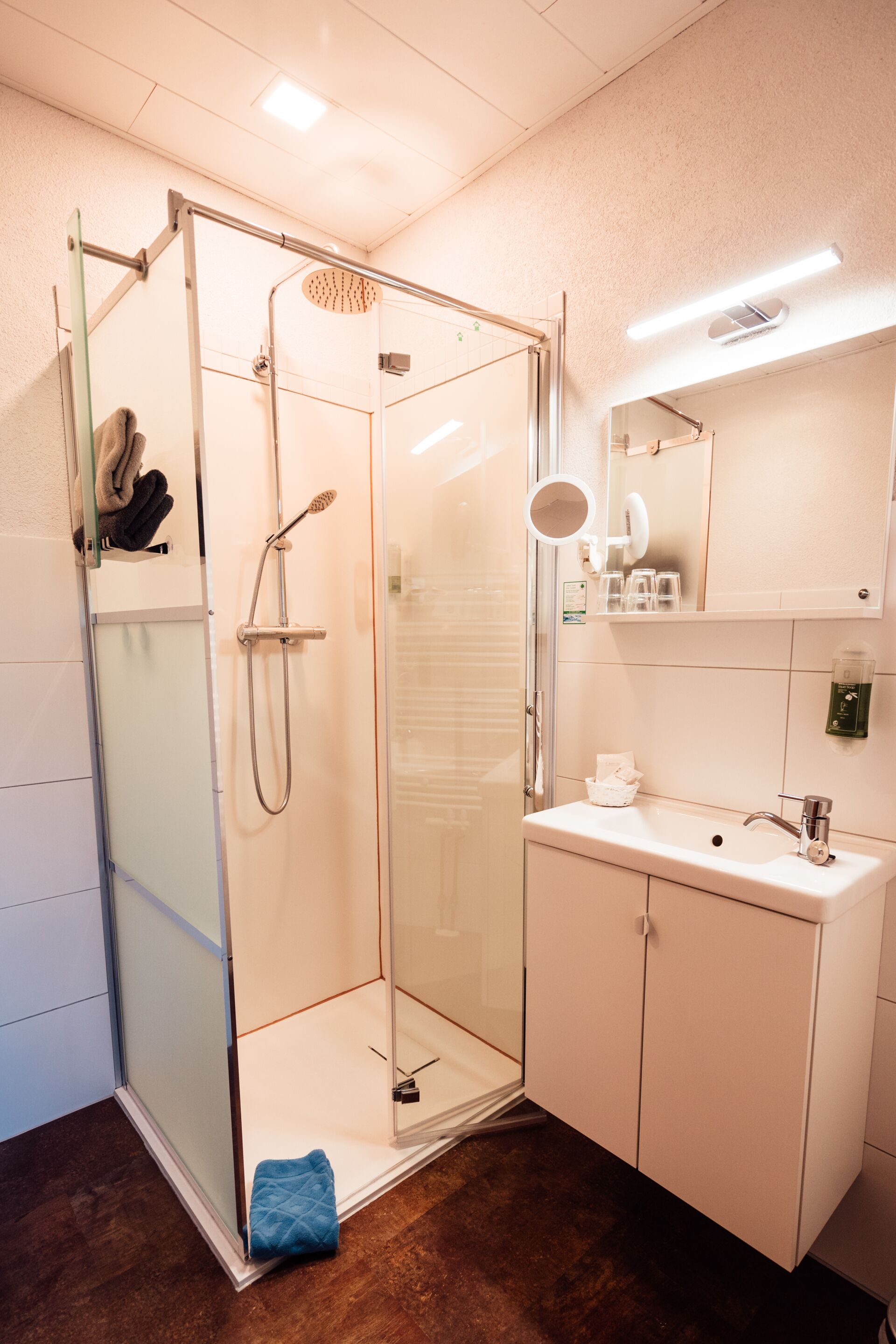 Un baño moderno con ducha de vidrio, un lavabo blanco y un espejo encima.