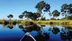 A calm body of water reflecting trees and a clear sky.