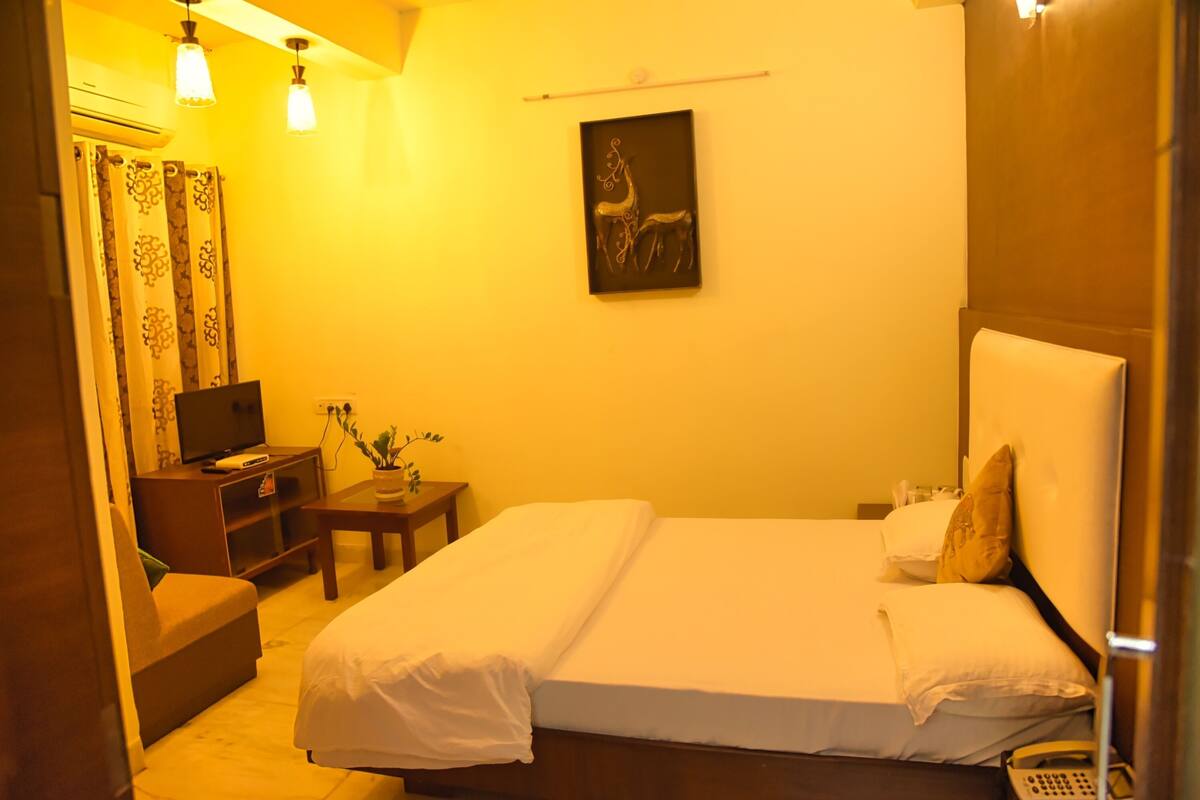 Quarto de hotel com cama, televisão, escrivaninha e planta.
