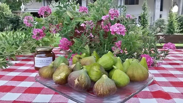 A table with figs and a jar of honey, surrounded by pink flowers and greenery.
