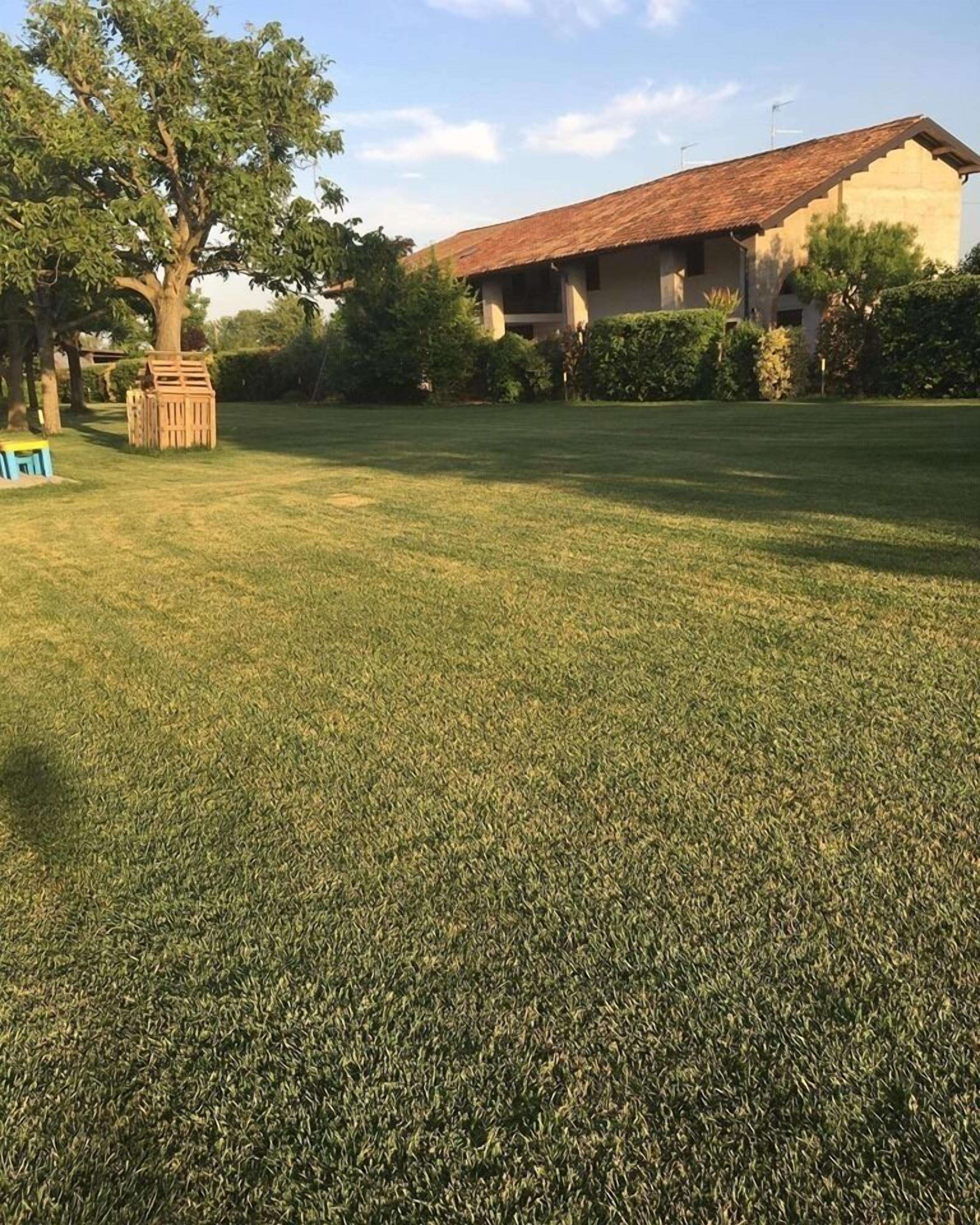 A well-maintained grassy lawn with a wooden play structure and a building with a tiled roof in the background.