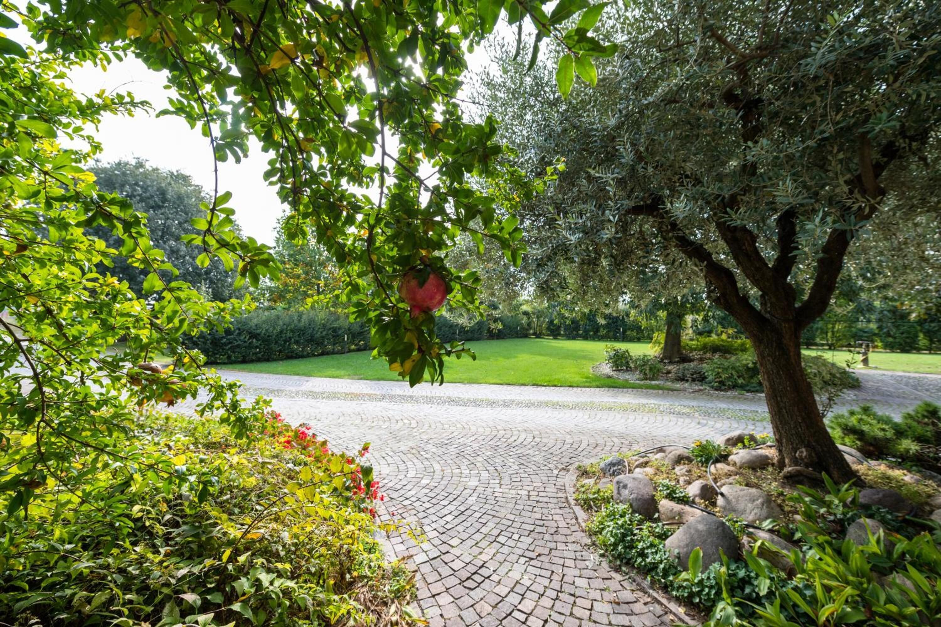 A paved garden pathway leading to a green lawn.
