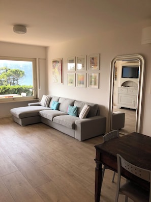 Smart-TV, DVD-Player