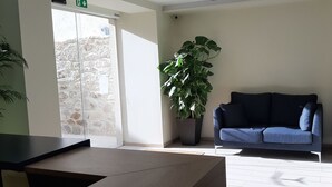 Una habitación con una planta grande en maceta, un sofá azul y una mesa.
