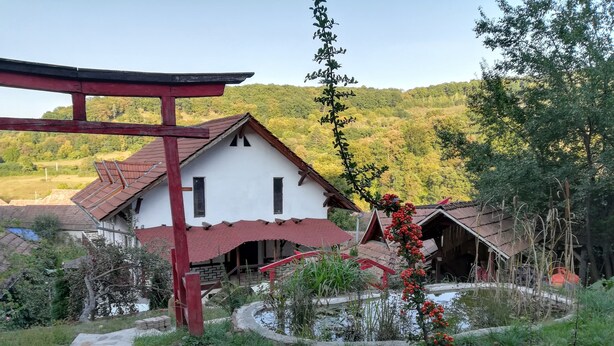 A traditional house with a red roof, surrounded by a stone pathway and a small pond. - Casa Lily-Japanese Retreat (Sighisoara)