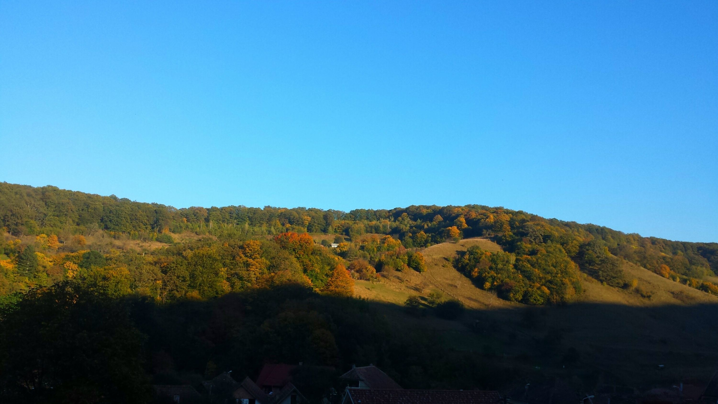 Purple suite | View from room