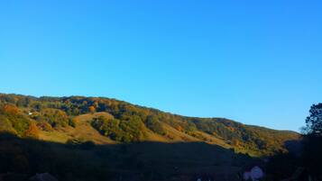A hilly landscape with autumn foliage and a clear blue sky.