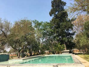 Piscina a l'aire lliure 