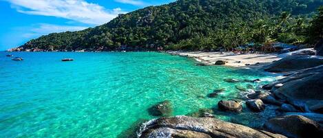 Playa