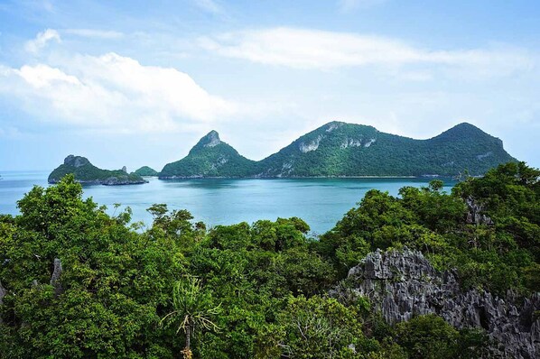 A coastal landscape with lush greenery and rocky outcrops.