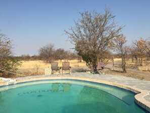 Outdoor pool - Chaixara Backpackers (Gweta)