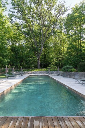 A rectangular pool with clear water, surrounded by a wooden deck and stone walls. - Les Sources de Cheverny (Cheverny)