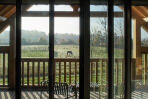 A wooden deck with chairs overlooking a grassy field and a horse grazing. - Les Sources de Cheverny (Cheverny)