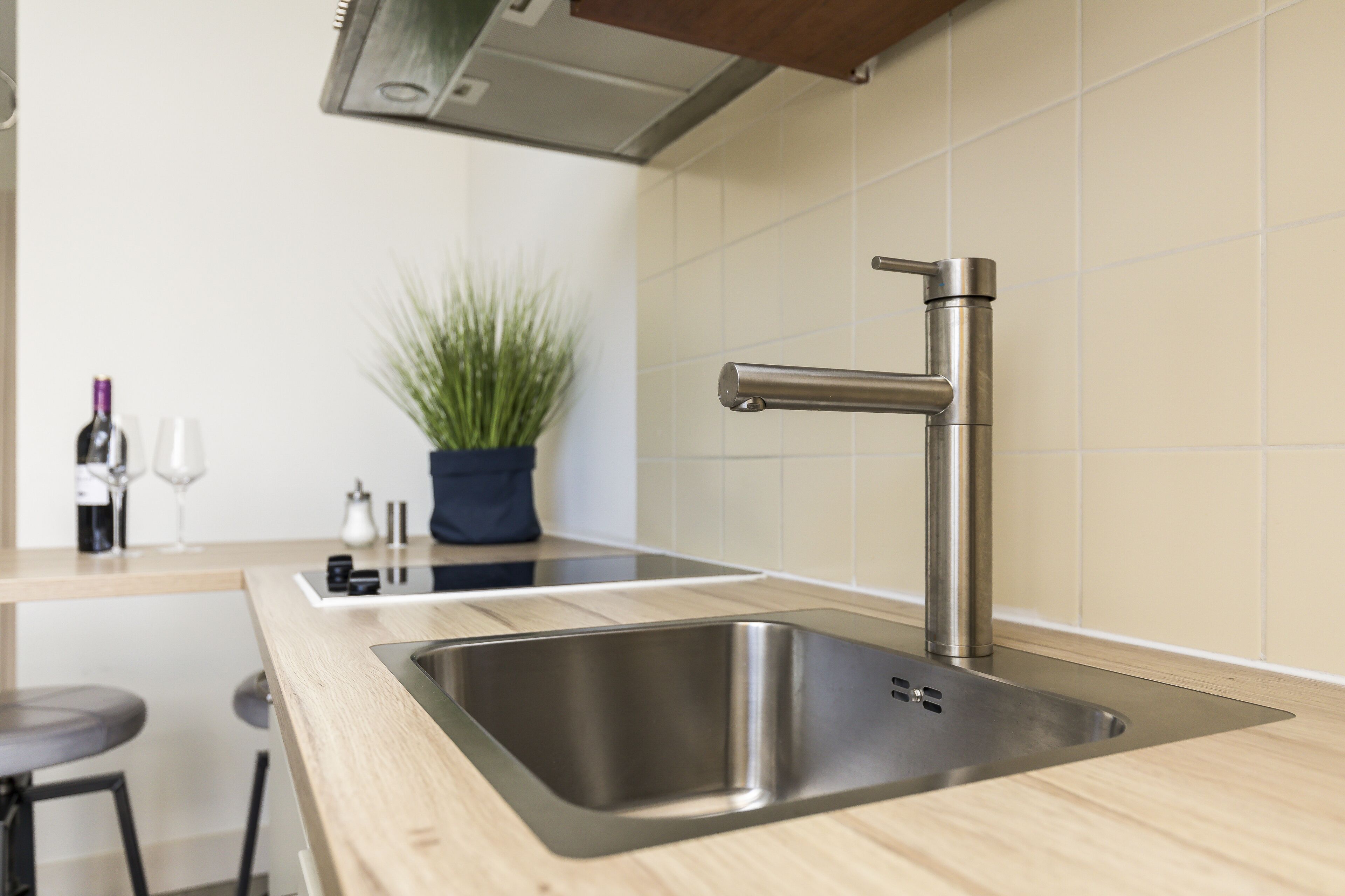 Une cuisine moderne dotée d’un évier en acier inoxydable, d’un plan de travail en bois et d’une plante en pot.