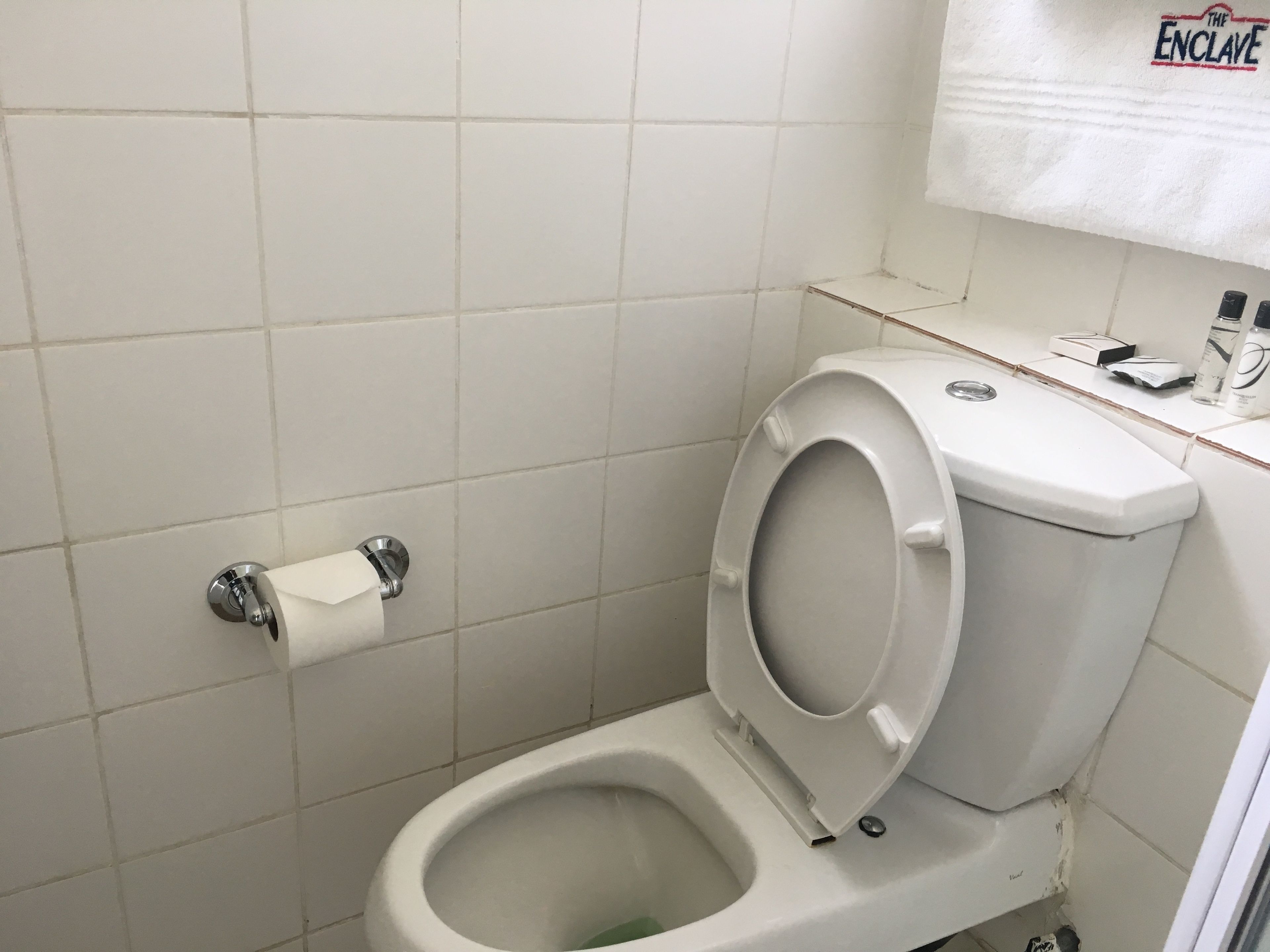 A standard white toilet with a closed seat, a toilet paper holder on the wall, and a small shelf with toiletries.