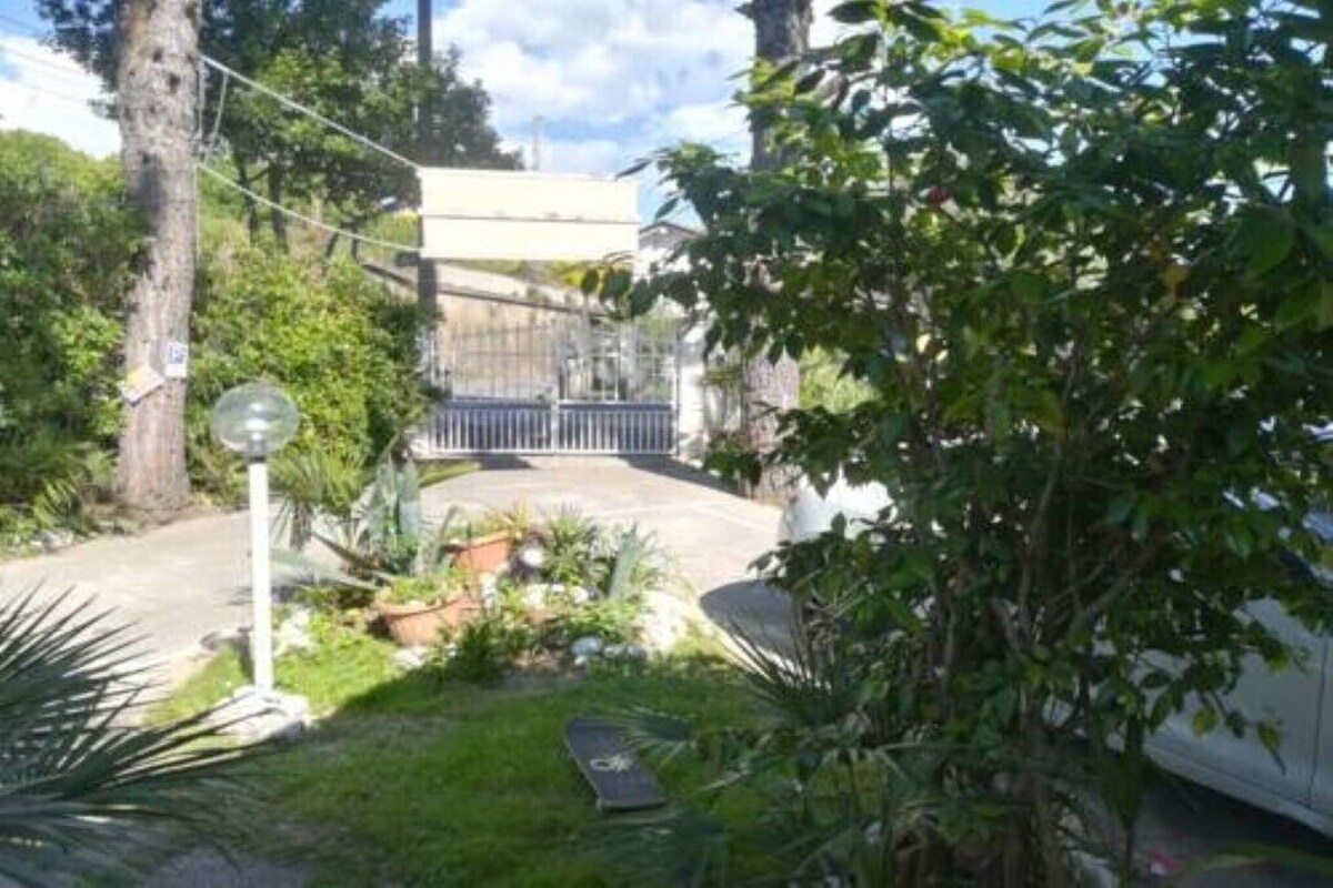 オーナーのプロフィール画像