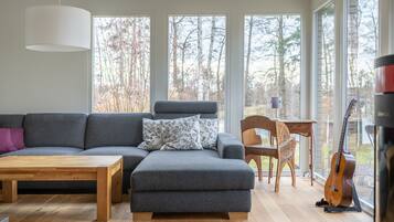 Smart TV, fireplace, video games, DVD player