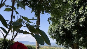 A garden with a view of distant hills, a stone wall, and a red gate. - Mc Courts Cottage, Mourne Mountains  (HILLTOWN)