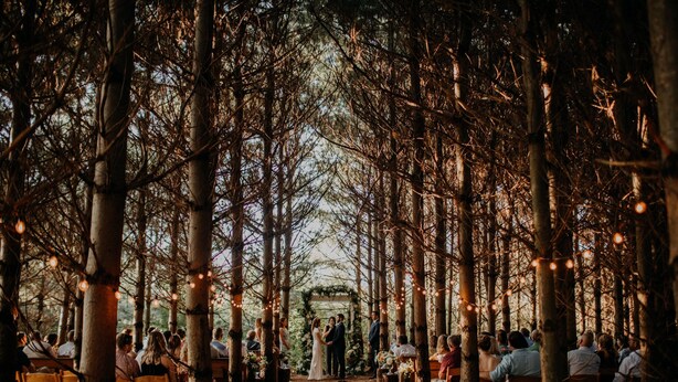 Outdoor wedding area - Orchard House Granville (Granville)