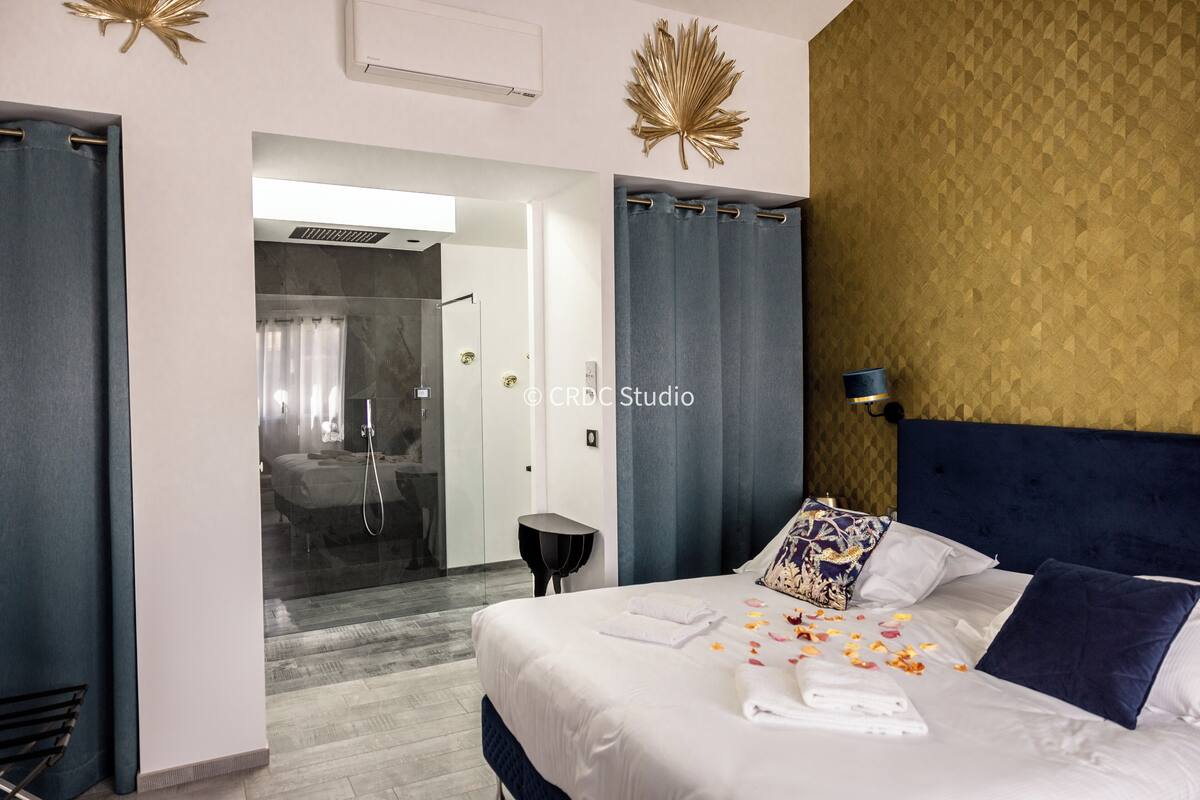 Privileged Double Room with Air Conditioning