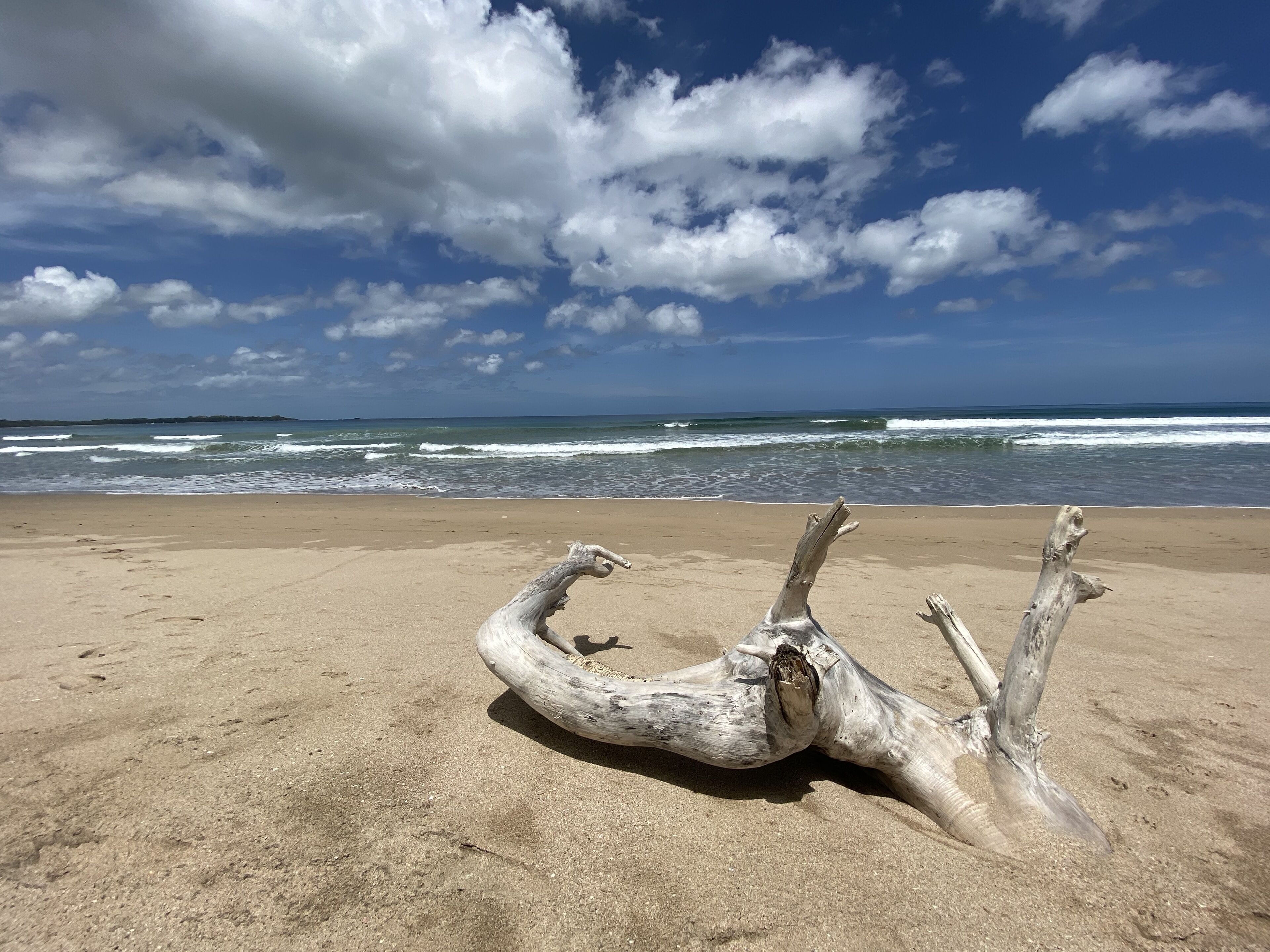 Plage à proximité, serviettes de plage