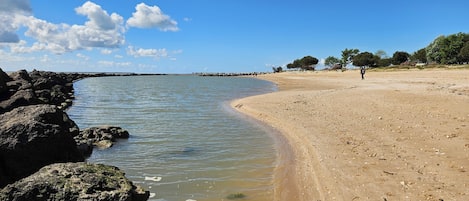 在海滩