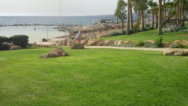 Un espace verdoyant offrant une vue sur la mer, des palmiers et une plage parsemée de parasols.