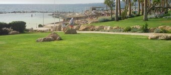 1 bedroom apartments for rent