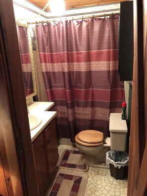 Combined shower/bathtub, towels, soap, toilet paper