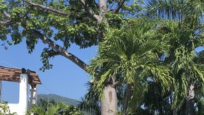 Alberca techada