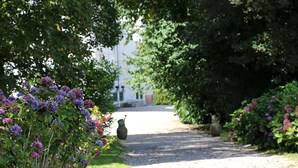 A gravel path leading to a building surrounded by lush greenery and purple flowers.