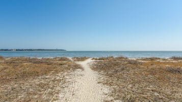 Plage, chaises longues, serviettes de plage