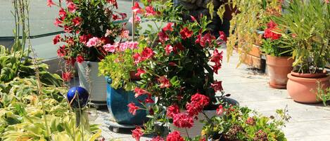 Comfort-lejlighed - 2 soveværelser - stueetage | Terrasse/gårdhave