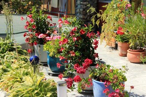 Terrace/patio - Apartment Dahoam (Forstau)