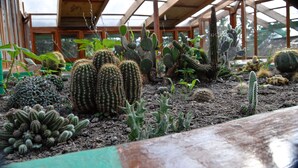 Reception - Hosteria Mandala (Puerto Lopez)